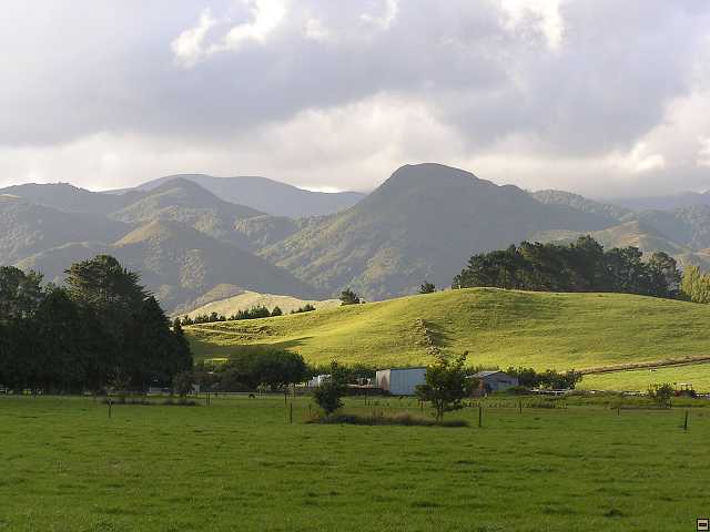 NZ leden-unor 2006 001.jpg